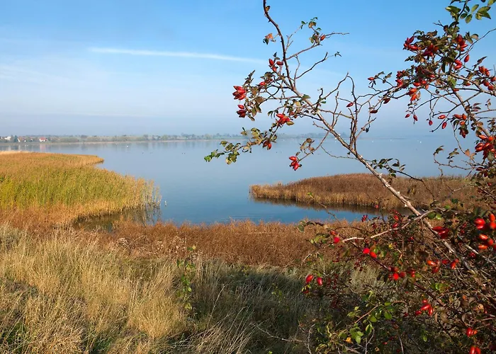 Gollwitzer Park Ostsee Harmonie 公寓 因塞尔波埃尔